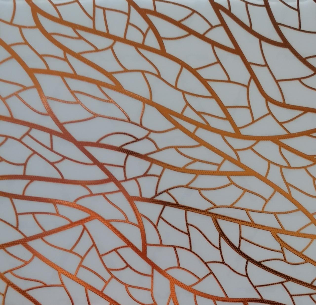 Skin Deluxe Holo Clear